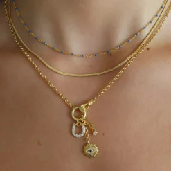 Anastazia's Luck Charm Necklace^Evry Jewels Hot