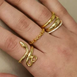 Chainz Ring^Evry Jewels Best