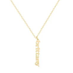 Custom/Personalized Mini Vertical Charm Nameplate Necklace^Evry Jewels Outlet