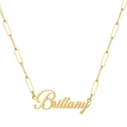 Custom/Personalized Paperclip Nameplate Necklace^Evry Jewels Sale