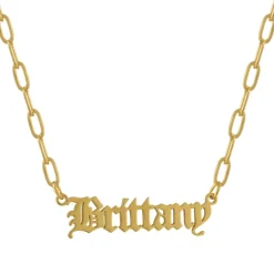 Custom/Personalized Paperclip Nameplate Necklace^Evry Jewels Sale