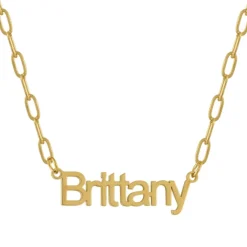 Custom/Personalized Paperclip Nameplate Necklace^Evry Jewels Sale