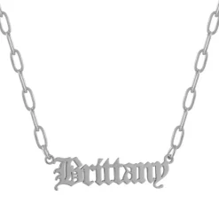 Custom/Personalized Paperclip Nameplate Necklace^Evry Jewels Sale