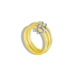 Forever Linked Ring^Evry Jewels Fashion
