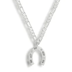 Good Fortune Necklace^Evry Jewels Fashion