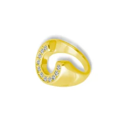 Good Fortune Ring^Evry Jewels New