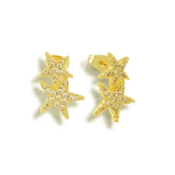Hidden in the Sand Earrings^Evry Jewels Discount