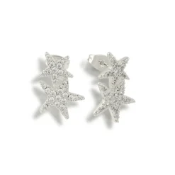 Hidden in the Sand Earrings^Evry Jewels Discount