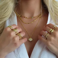 Hidden Treasure Necklace^Evry Jewels Sale