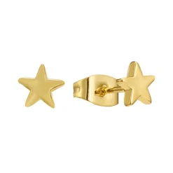 Reach for the Stars Earrings^Evry Jewels New