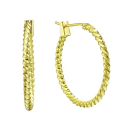 Revolved Earrings^Evry Jewels New
