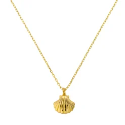 Seashell Necklace^Evry Jewels New