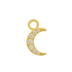 Single Hoop Charm^Evry Jewels New