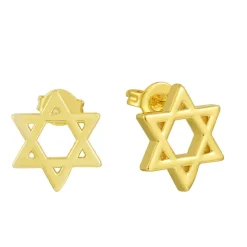 Star of David Earrings^Evry Jewels Hot