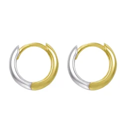 Two Tone Earrings^Evry Jewels Best