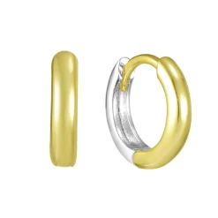 Two Tone Earrings^Evry Jewels Best